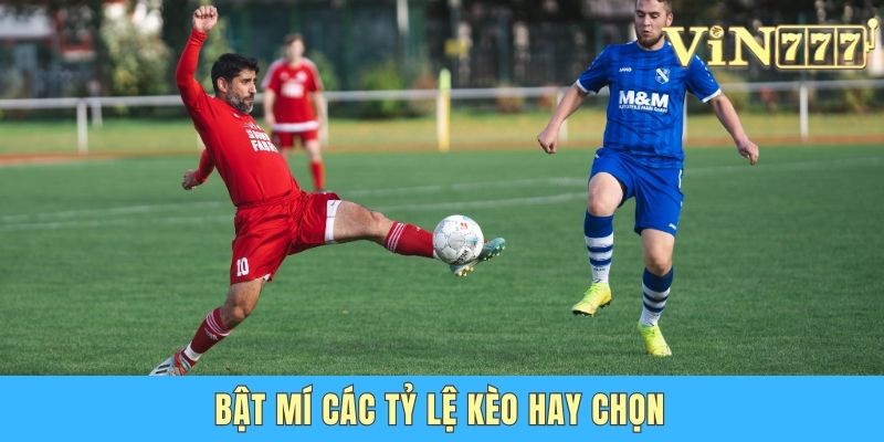 Cá Độ Bóng Đá Vin777 - Sân Chơi Với Kèo Thơm Dễ Thắng Bật mí các tỷ lệ kèo hay chọn
