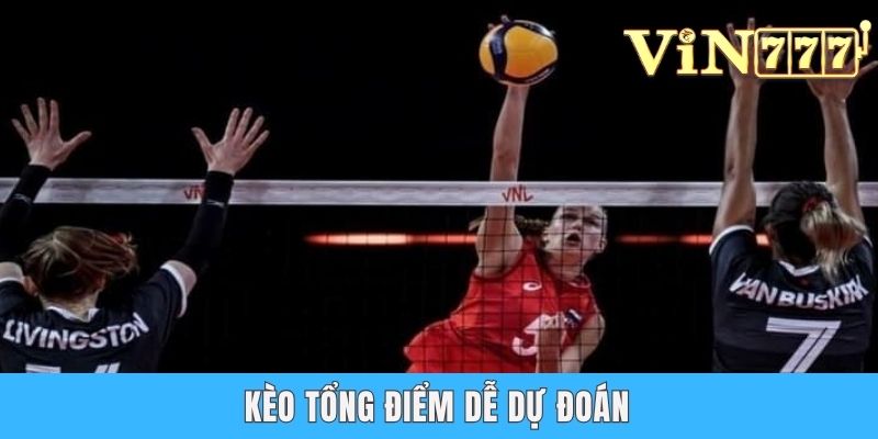 Cá Cược Bóng Chuyền - Khám Phá Từng Hình Thức Kèo Hấp Dẫn Kèo tổng điểm dễ dự đoán